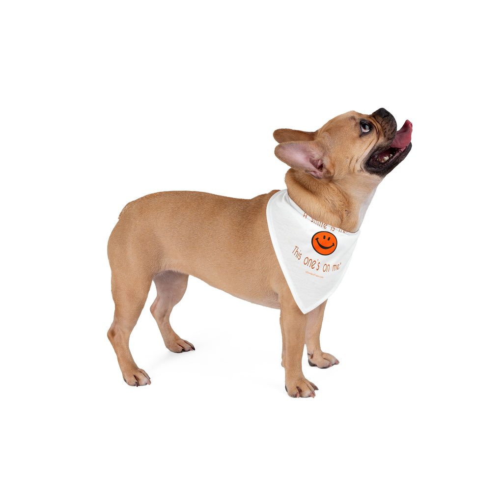 Comforting Pet Bandana PMPKN Smile
