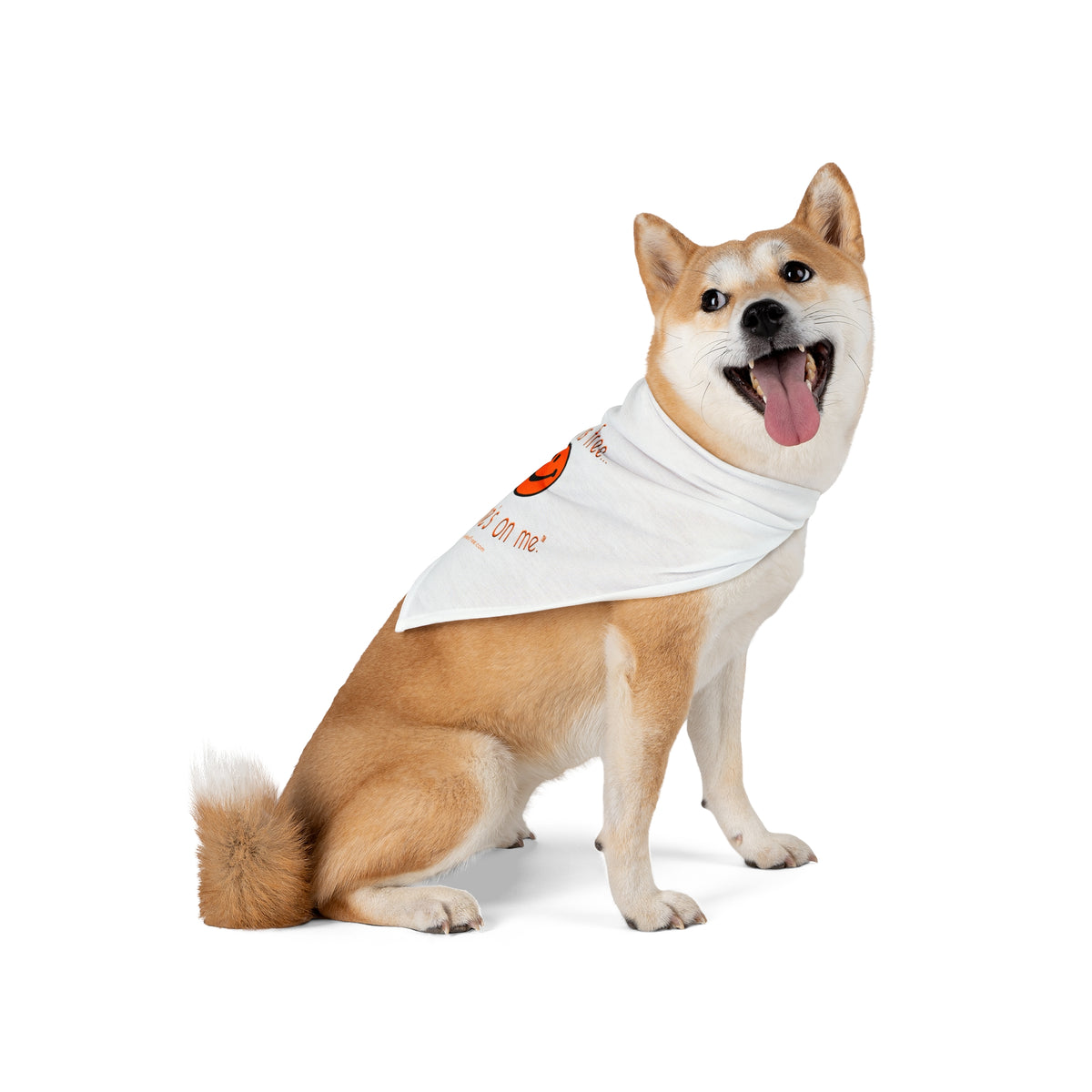 Comforting Pet Bandana PMPKN Smile
